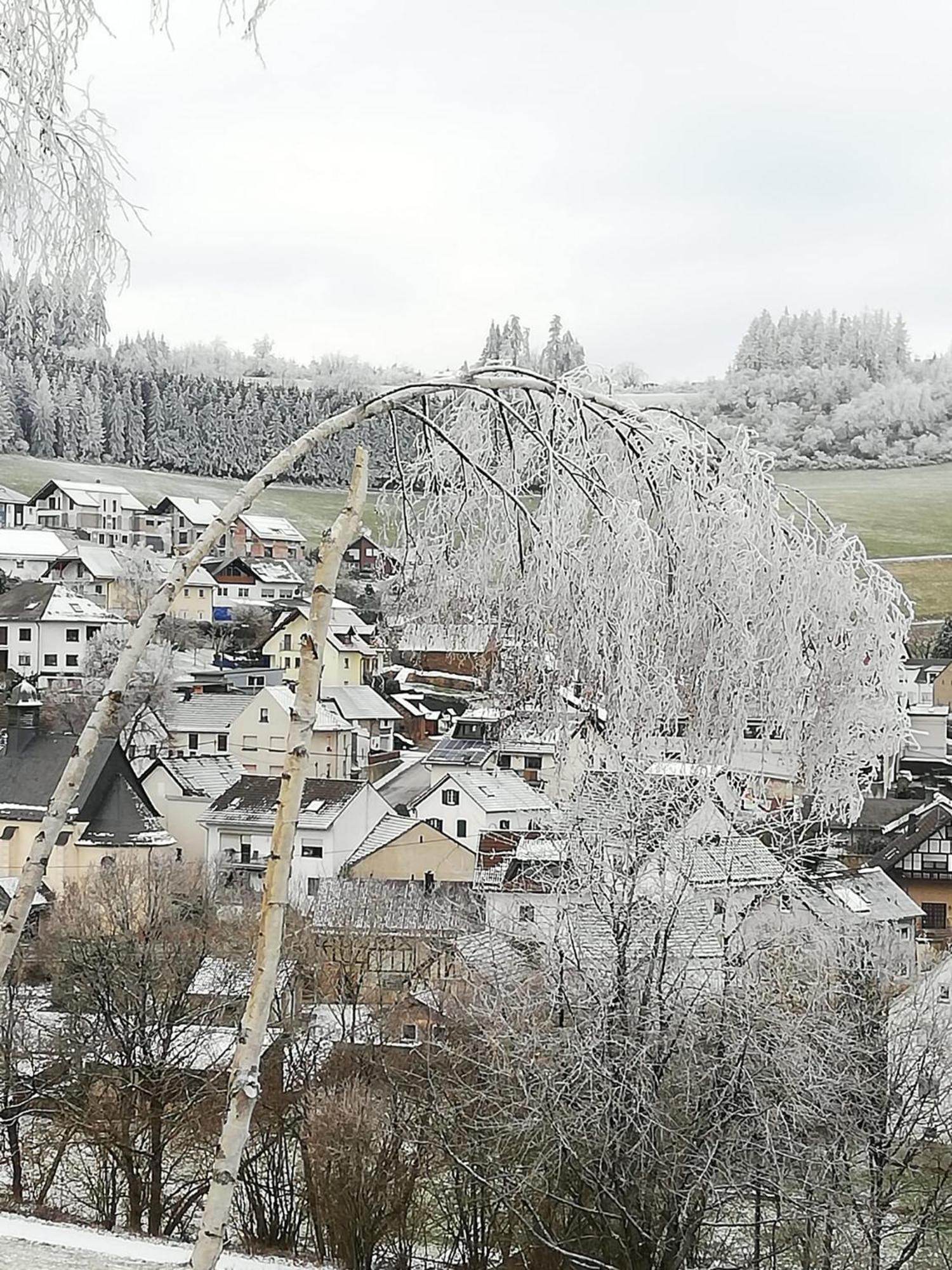 Am Lindenbaum, Ferienwohnung In Siebenbach Am Nuerburgring Екстериор снимка