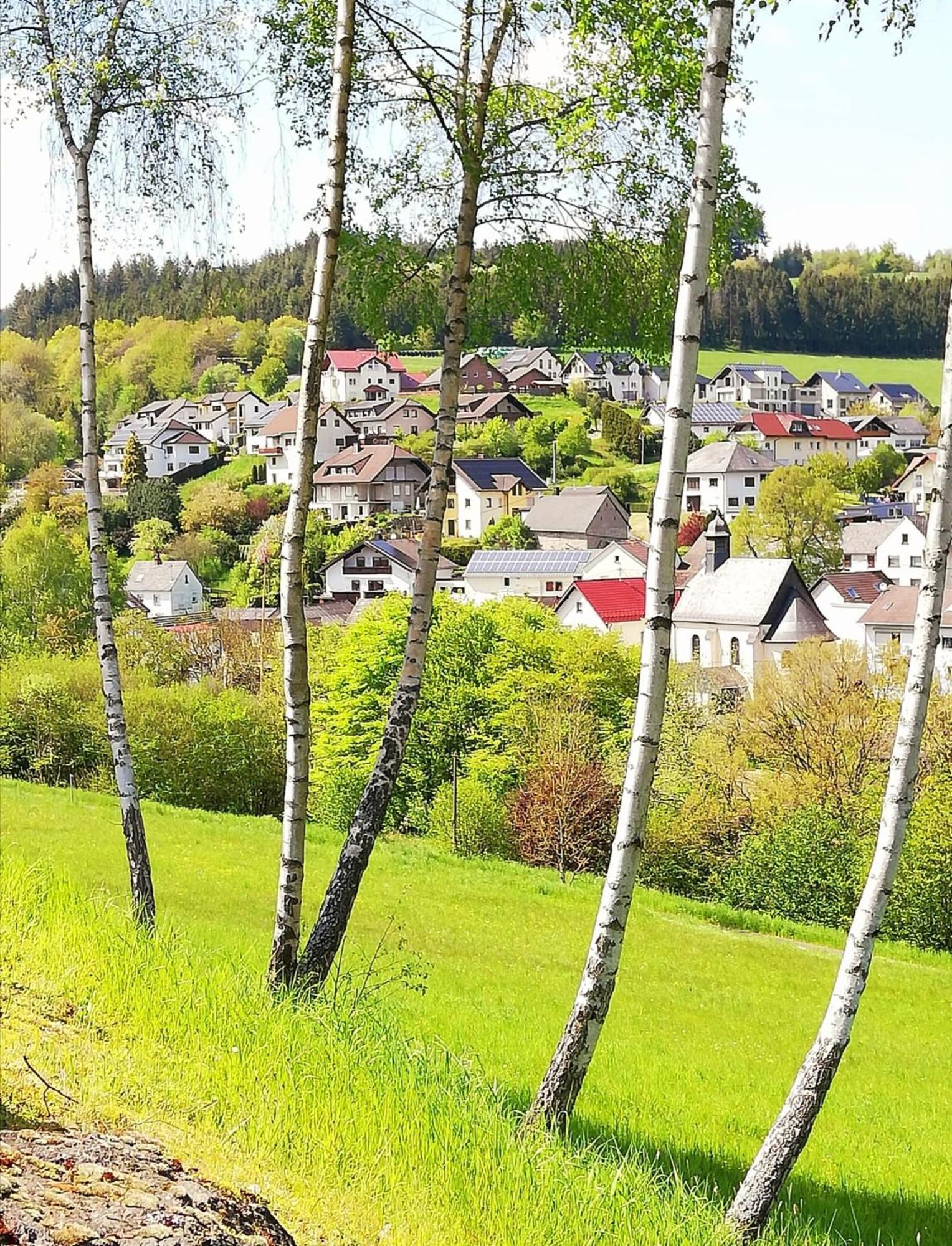 Am Lindenbaum, Ferienwohnung In Siebenbach Am Nuerburgring Екстериор снимка