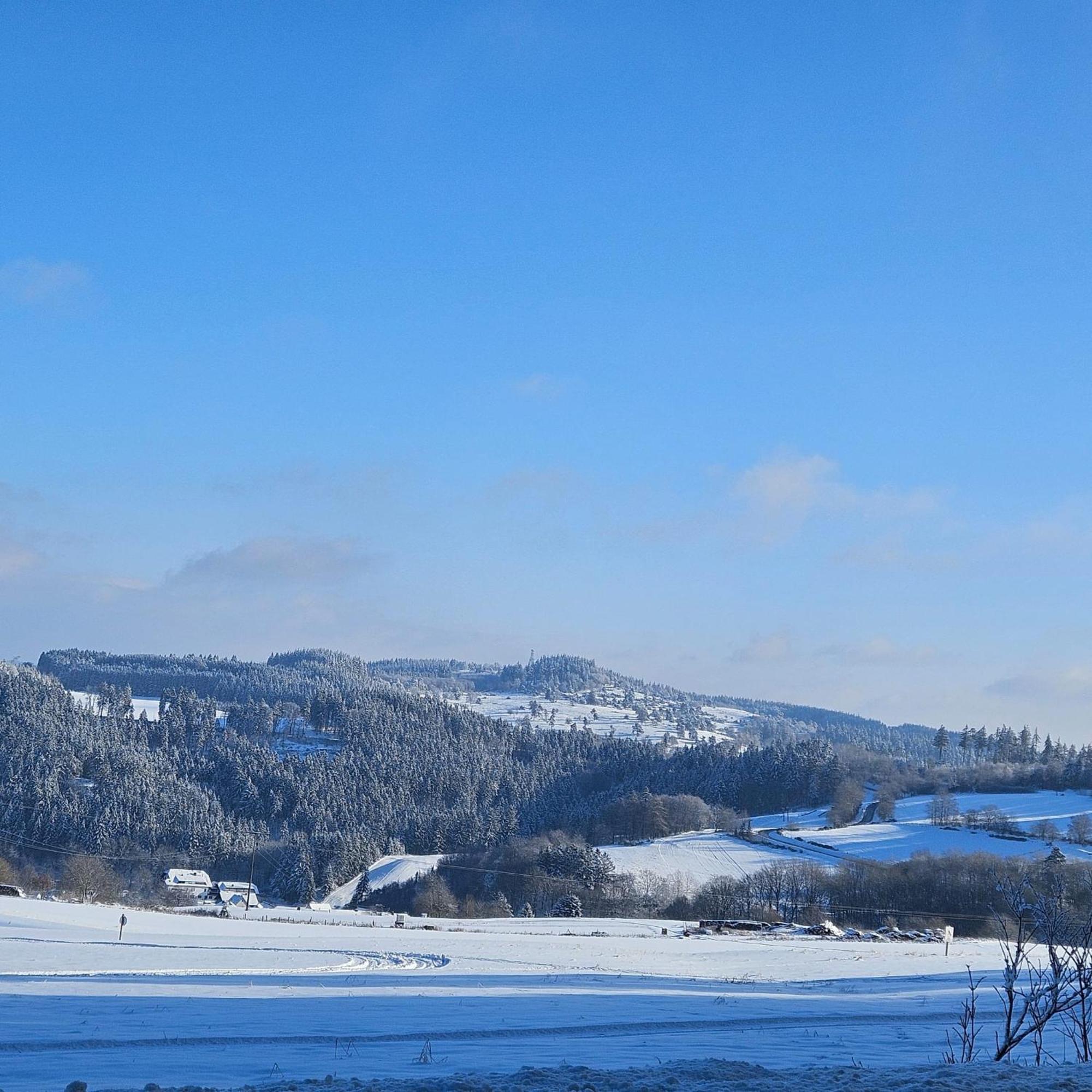 Am Lindenbaum, Ferienwohnung In Siebenbach Am Nuerburgring Екстериор снимка